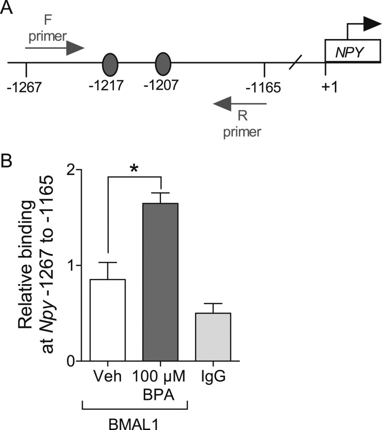 Figure 5.