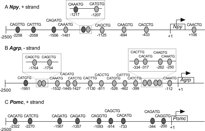 Figure 2.