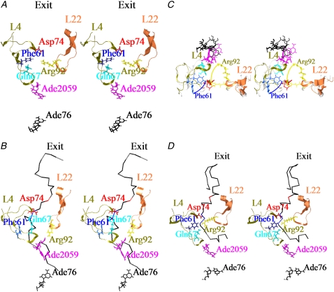 FIGURE 2