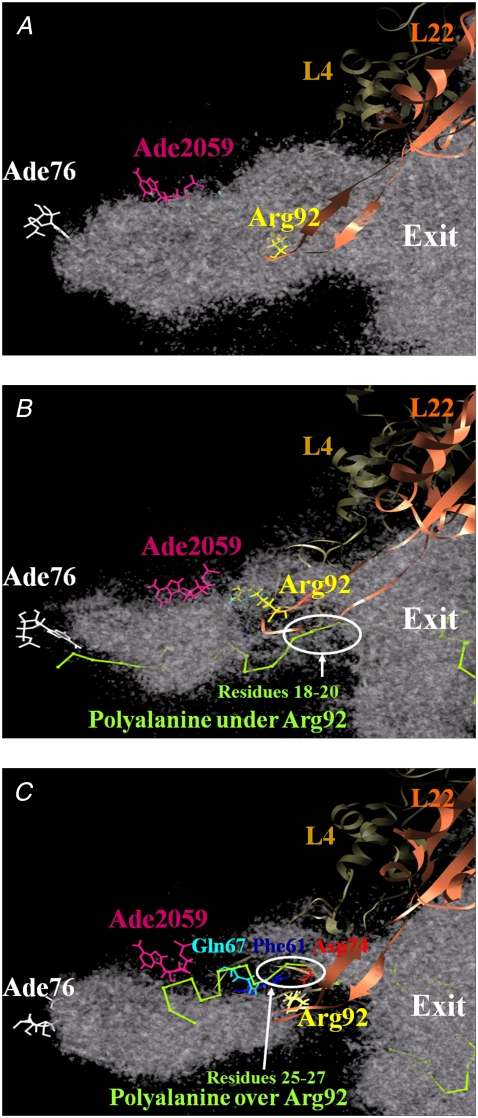 FIGURE 3