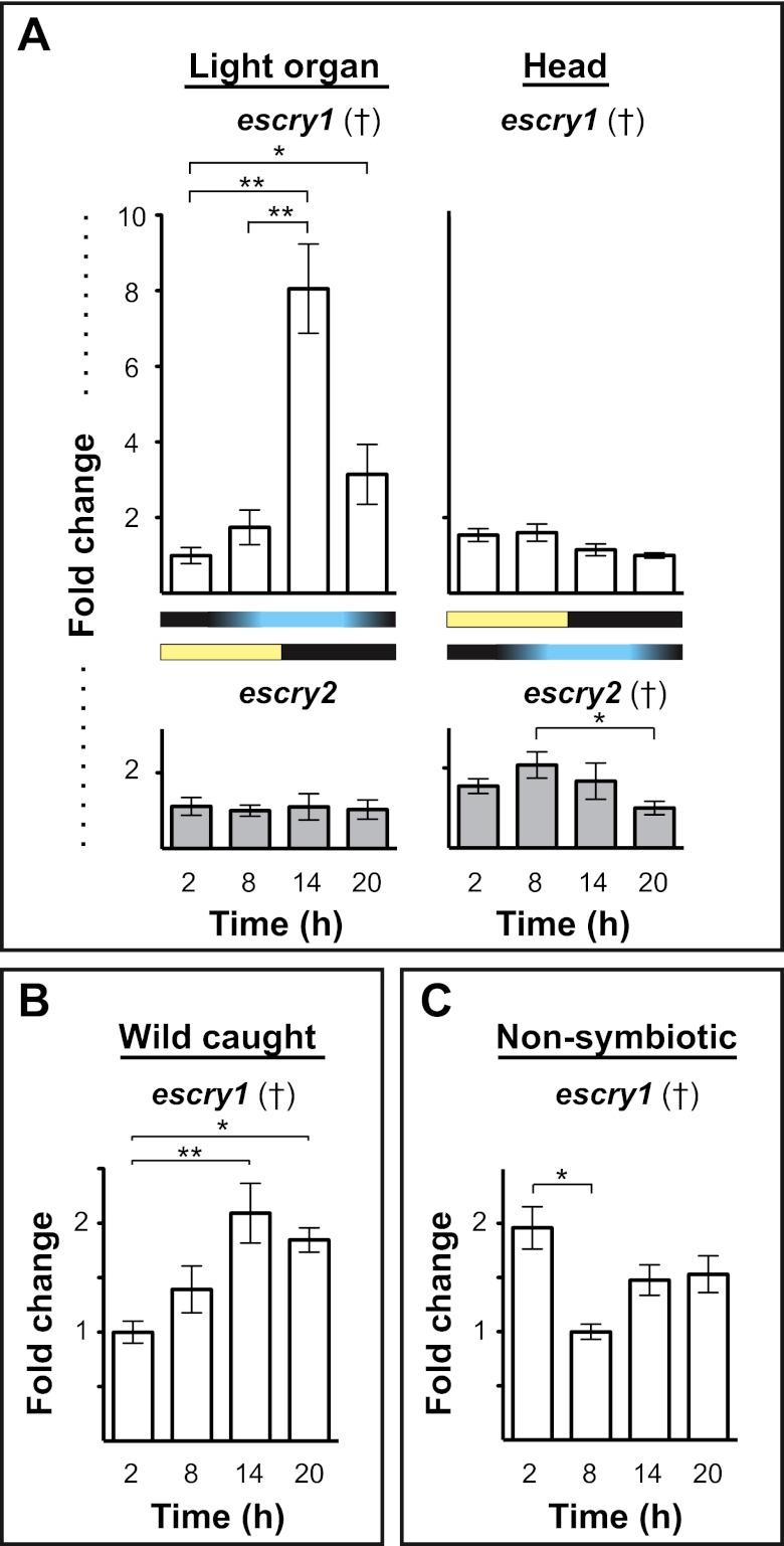 FIG 2 