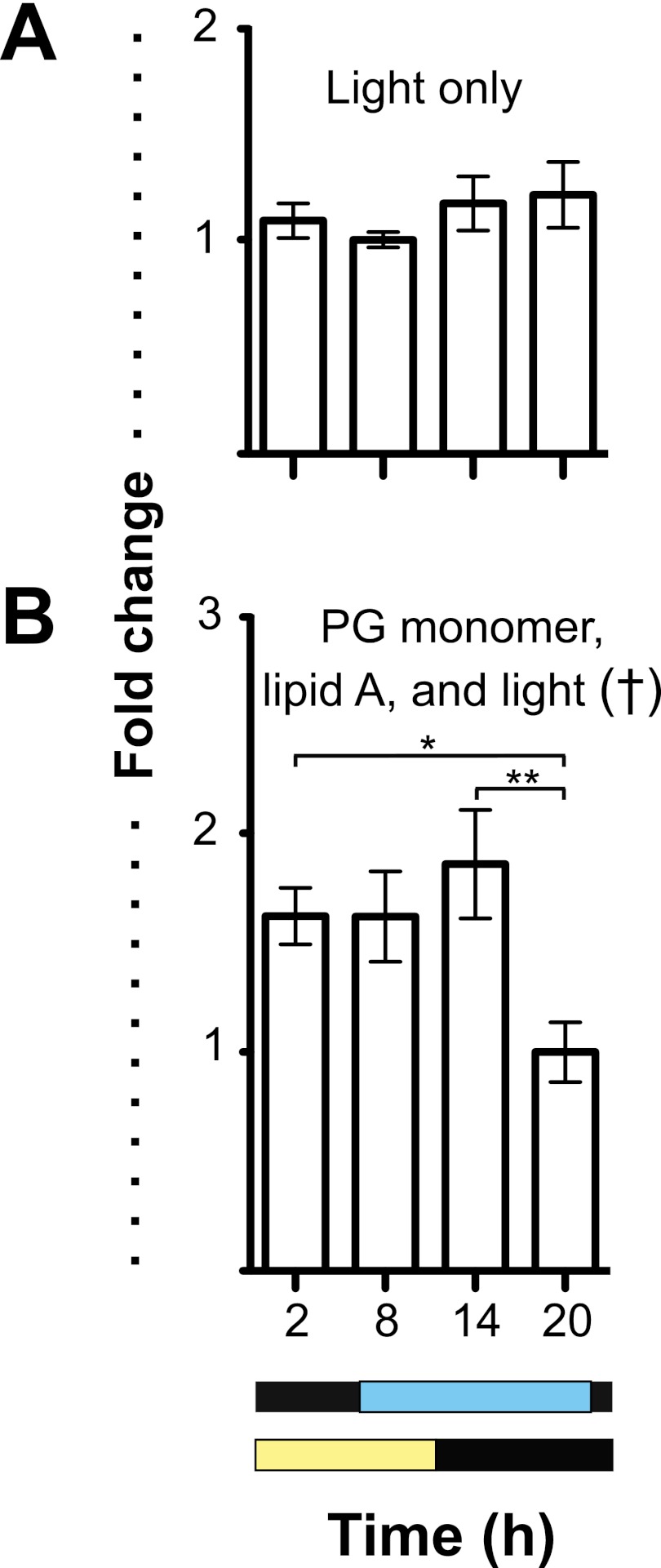 FIG 5 