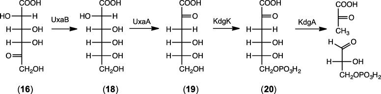 Scheme 6