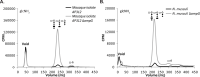 Fig 8