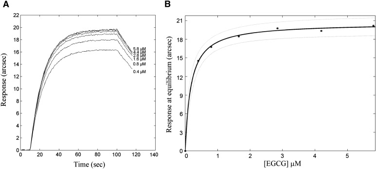 Fig.5.