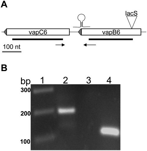 FIGURE 1.