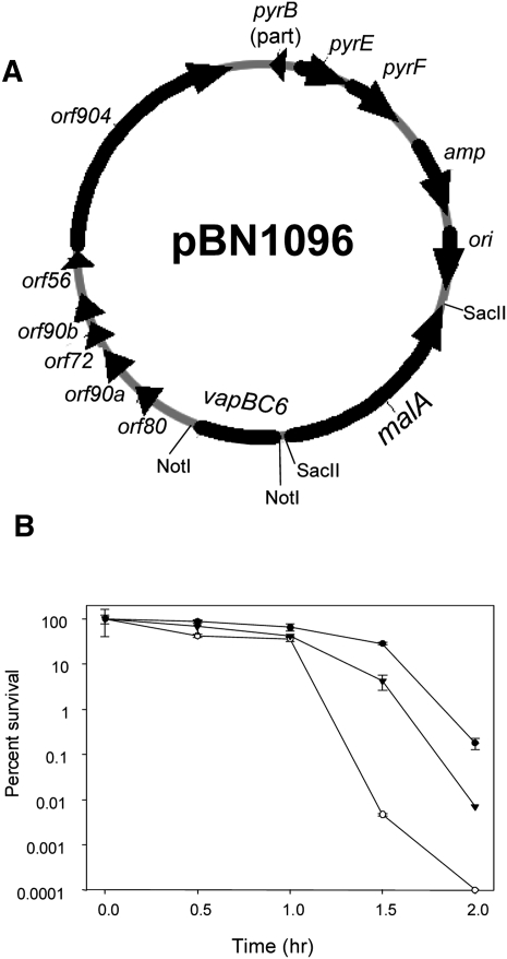 FIGURE 3.