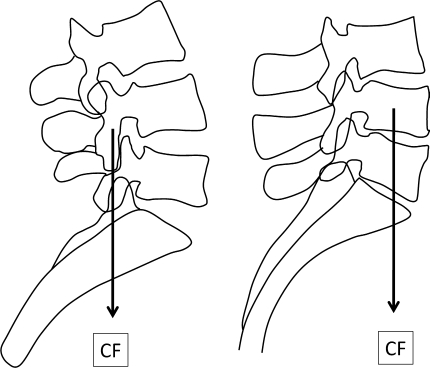 Fig. 8