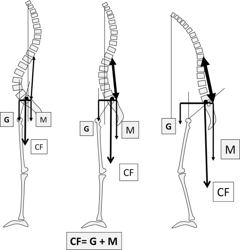 Fig. 6