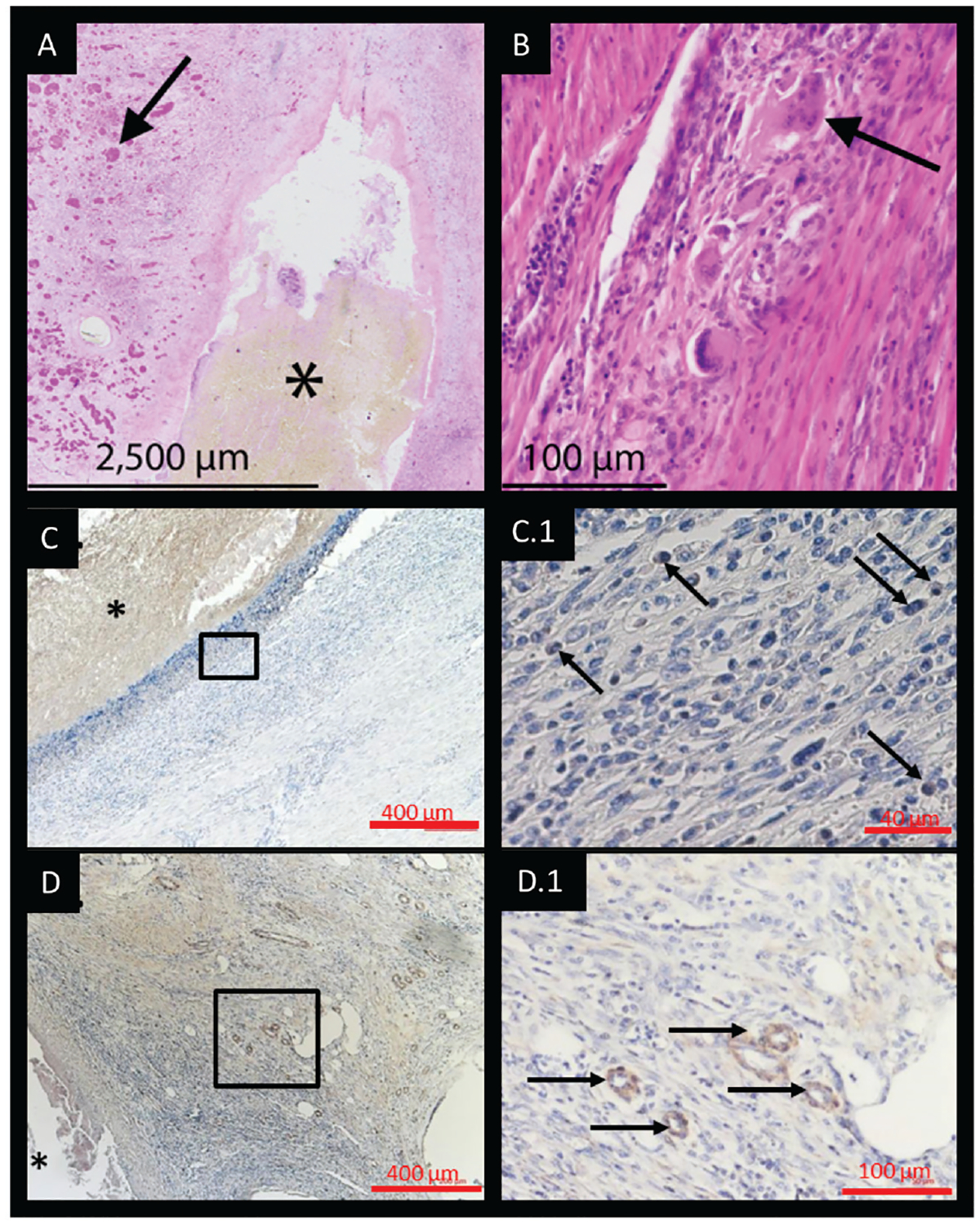 Figure 5.