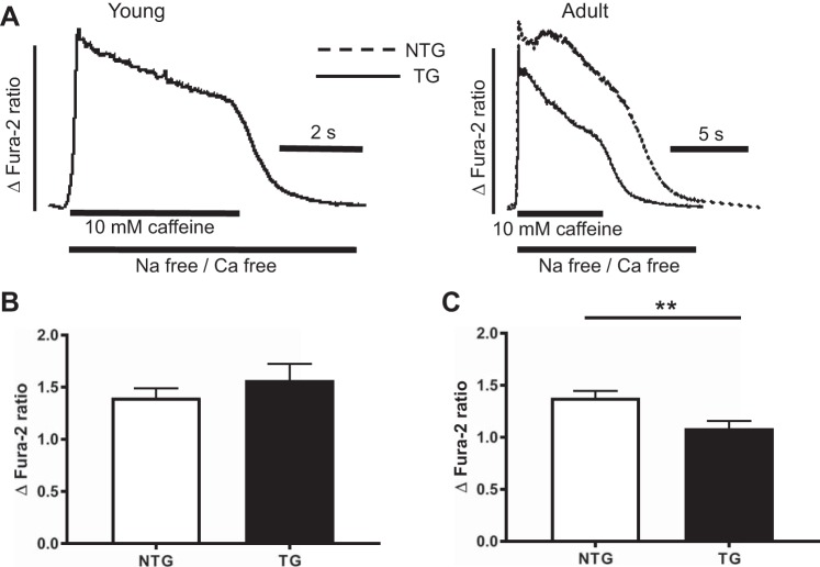 Fig. 6.