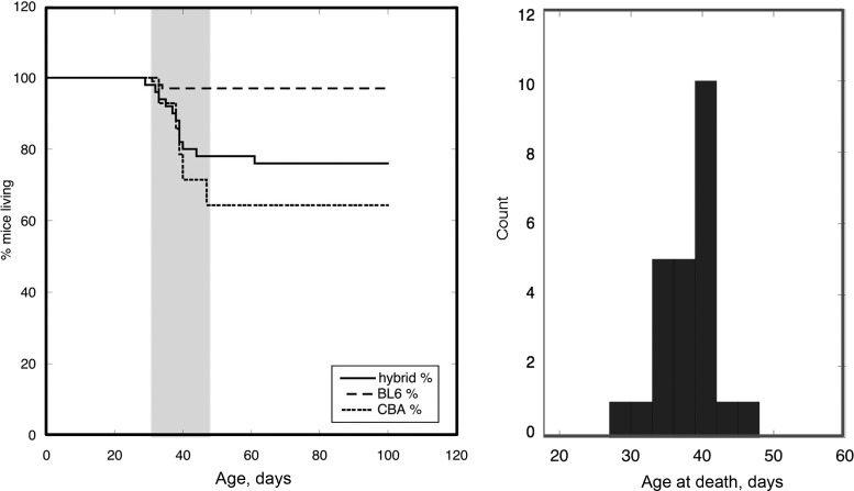 Fig. 10.