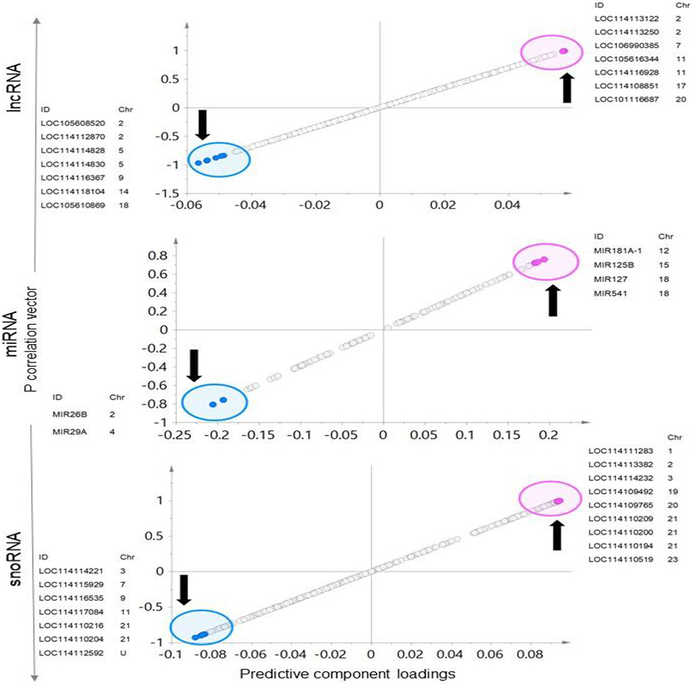 Fig. 11.