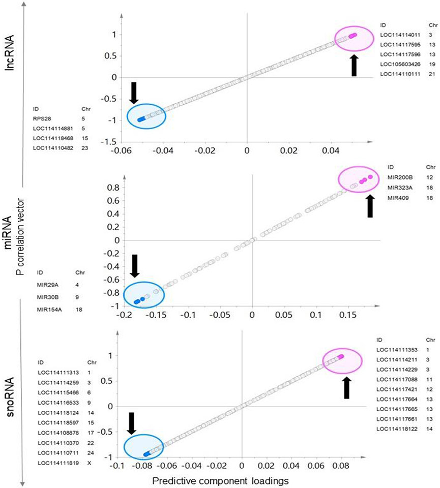 Fig. 9.