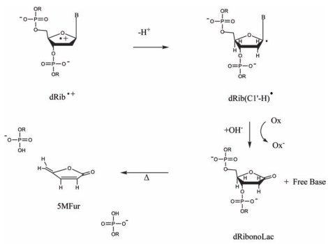 FIGURE 4