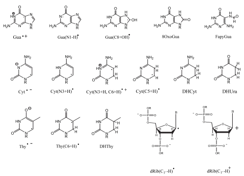 FIGURE 3