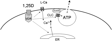 FIG. 7