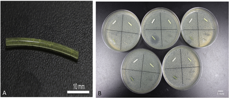 Fig. 11