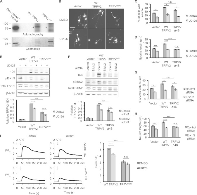 FIG 9