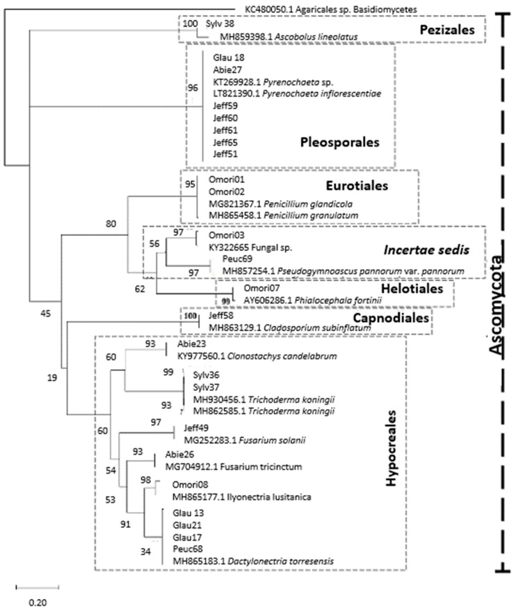 Figure 4