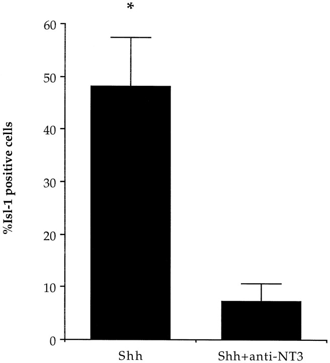 Fig. 9.