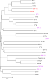 Figure S11.