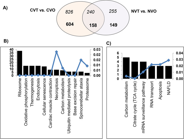 Fig. 12