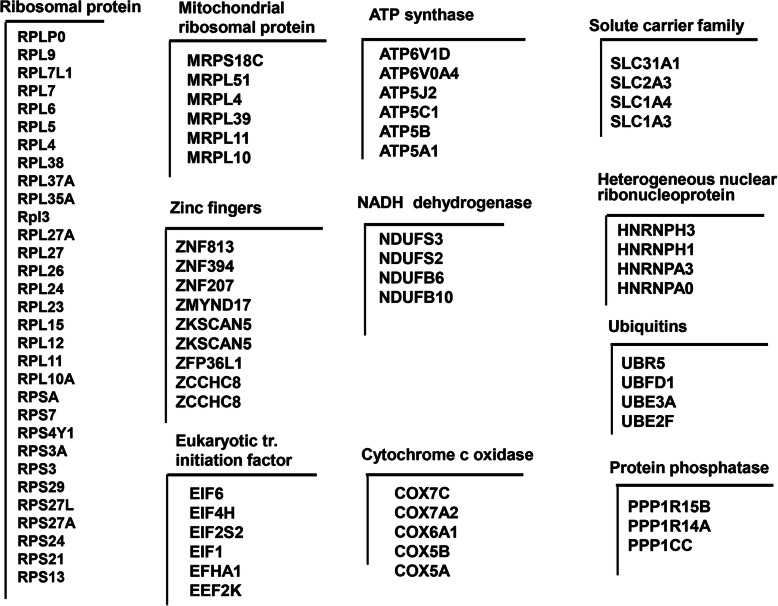 Fig. 10