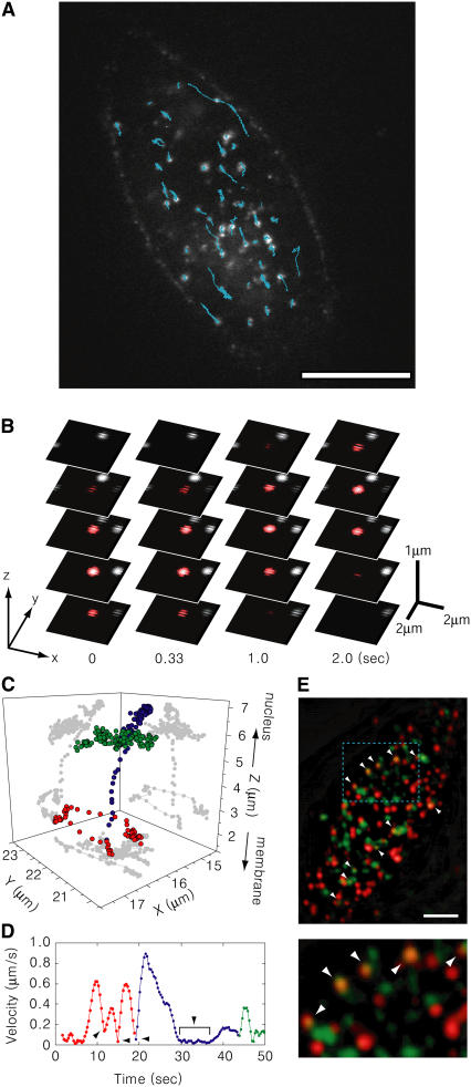 FIGURE 4