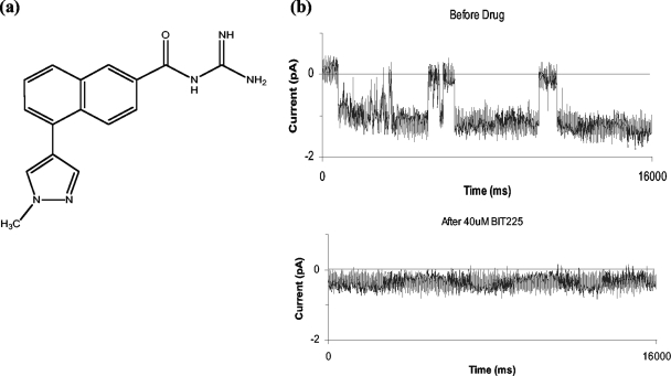 FIG. 1.