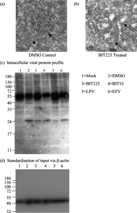 FIG. 5.