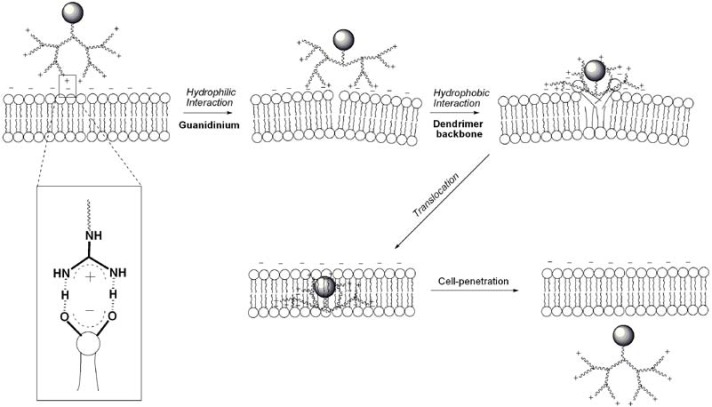 Figure 13