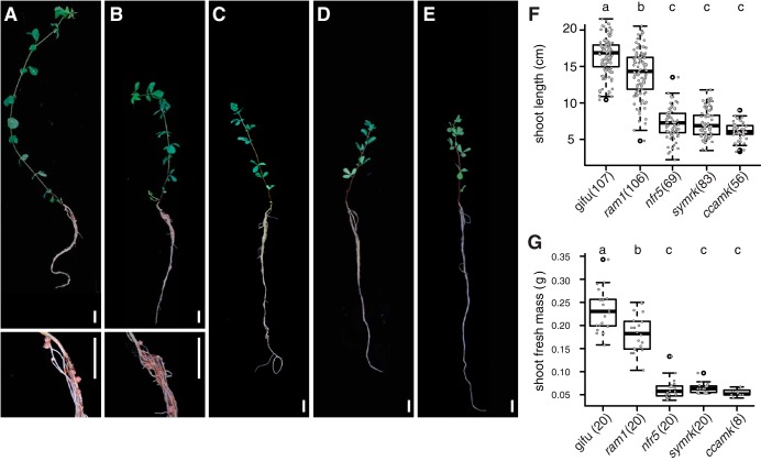 FIG 2