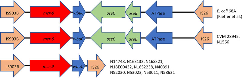 FIG 3