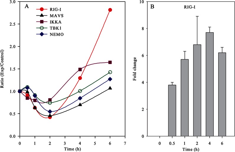 Fig. 3.