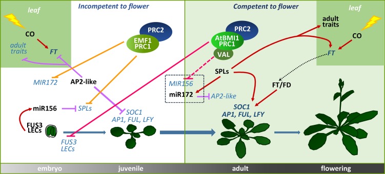 Figure 7.