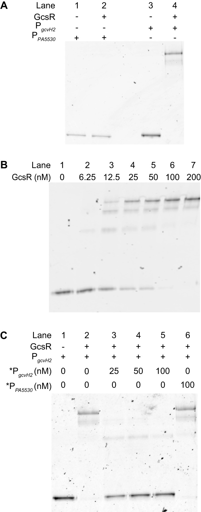 FIG 5 