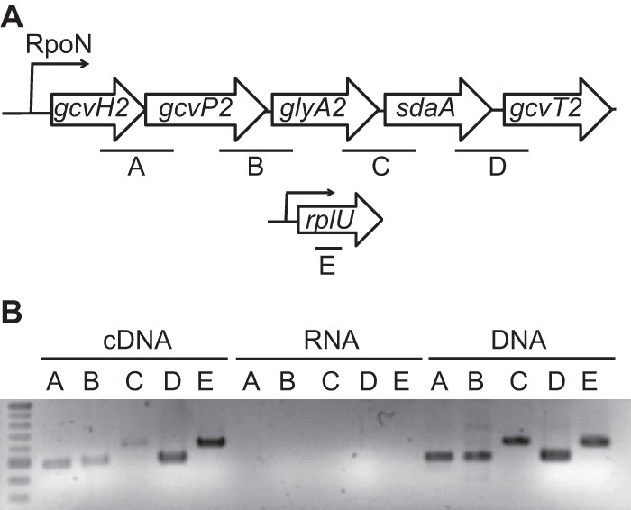 FIG 2 