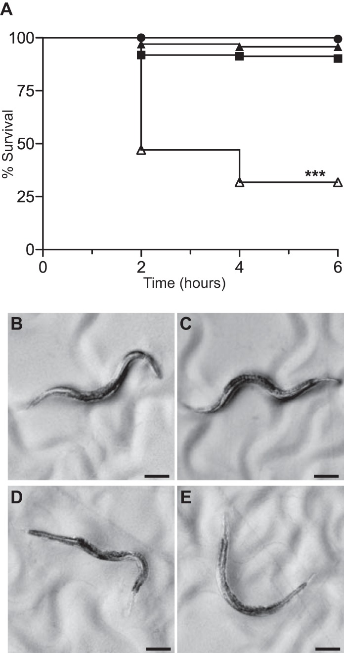 FIG 9 