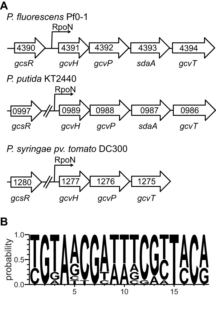 FIG 10 