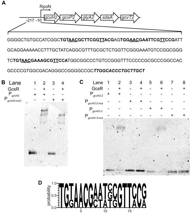 FIG 6 