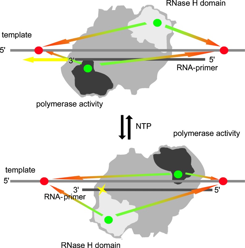 Fig. 4