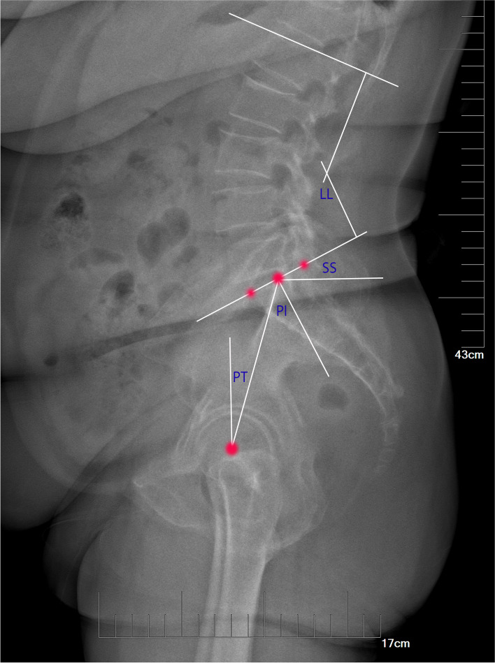 Fig. 1