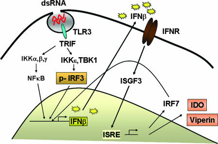 FIG. 10.