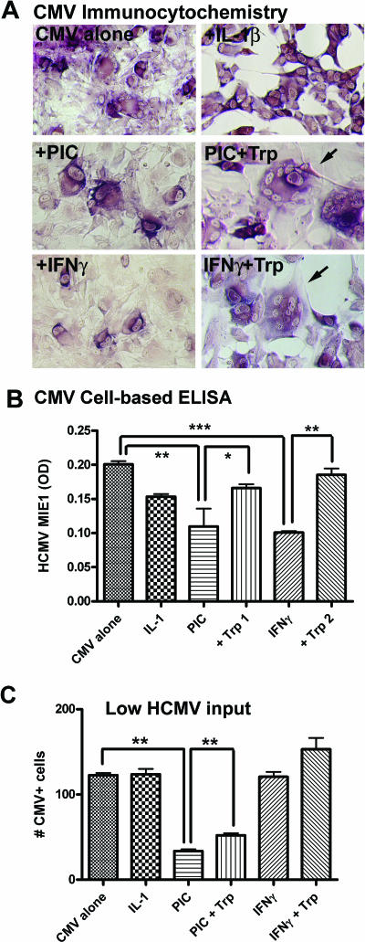 FIG. 8.