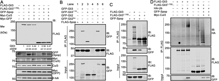 Fig. S6.