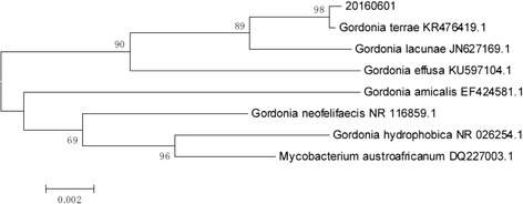 Fig. 5