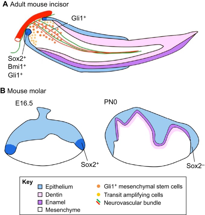 Fig. 5.