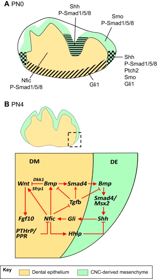 Fig. 4.