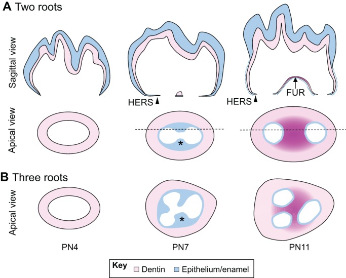 Fig. 3.